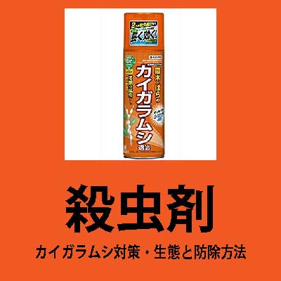 殺虫剤 カイガラムシ対策 月下美人